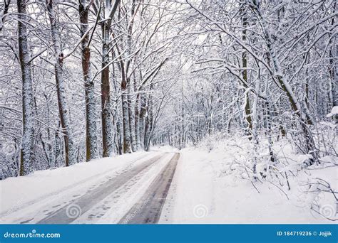 Empty Country Road In The Snowy Forest Beautiful Winter Scene With