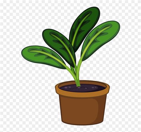 Free Potted Plant Cliparts Download Free Potted Plant Cliparts Png