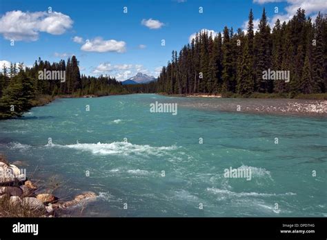 Bow River Alberta Canada Stock Photo Alamy