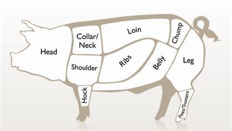 These are often sold wholesale, as are other parts of the pig with less meat, such as the head, feet and tail. BBC - Food - Pork recipes