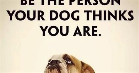 Buzzcanada Be The Person Your Dog Thinks You Are