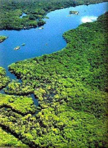 The Amazon Rainforest Covers 17 Billion Acres It Is Located Within