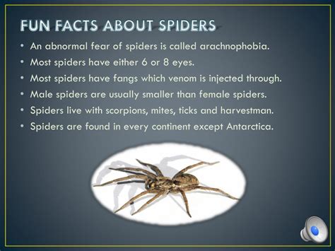 Ppt A Study On Spiders Powerpoint Presentation Free Download Id