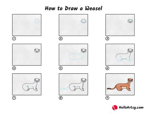 How To Draw A Weasel Helloartsy