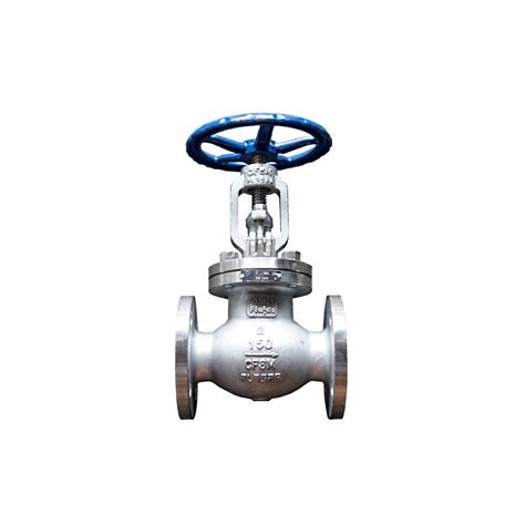 Flange End Globe Valve Stainless Steel Ss Material Ansi Type Raised Face Rising