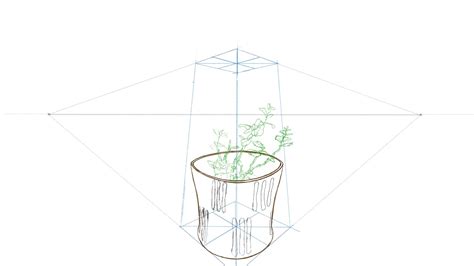 Drawing A Potted Plant In Three Point Perspective Youtube