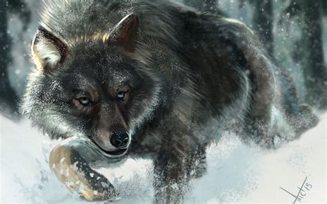 Fantasy Original Art Artistic Artwork Wolf Wolves Wallpapers Hd