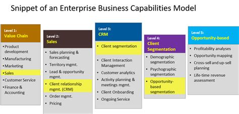 Crm Capabilities Map Your Crm Capabilities For Clarity And Coherence