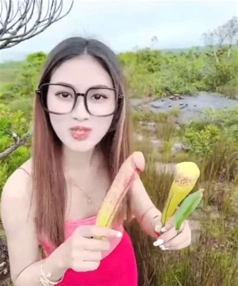 Sex Mad Tourists Told To Stop Playing With Penis Plants As They Compare Size