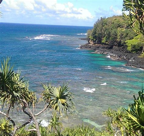 Turtle Cove Princeville Atualizado 2022 O Que Saber Antes De Ir