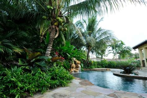 Tropical Design Tropical Garden Miami By Knoll Landscape Design