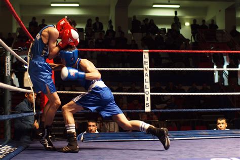 entraînement de boxe le parcours du débutant