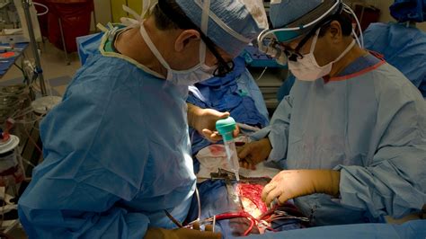 Heart Surgery Shuns Rib Cracking Growing As Option