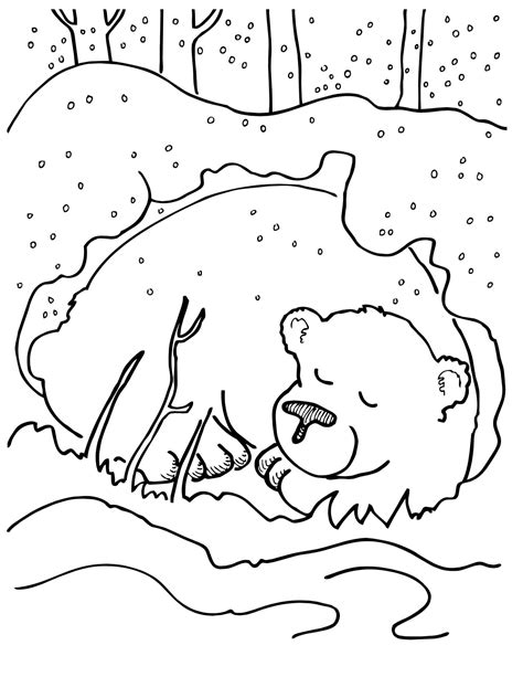 Берлога Медведя Картинки Для Детей Нарисованные Telegraph