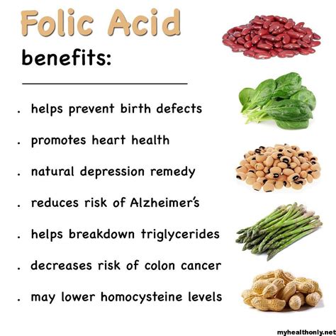 Should men also be taking folic acid? Health Benefits of Vitamin B9 - Importance, Deficiencies ...