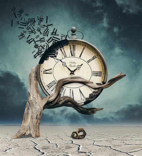 Time Is Flying Digital Art By Mihaela Pater Pixels