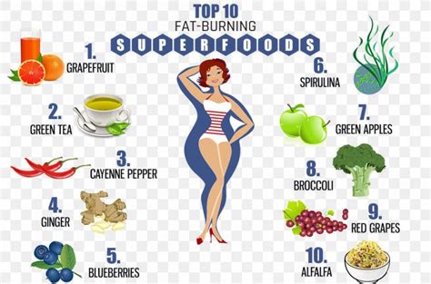 Weight Loss Abdominal Obesity Food High Protein Diet Eating Png