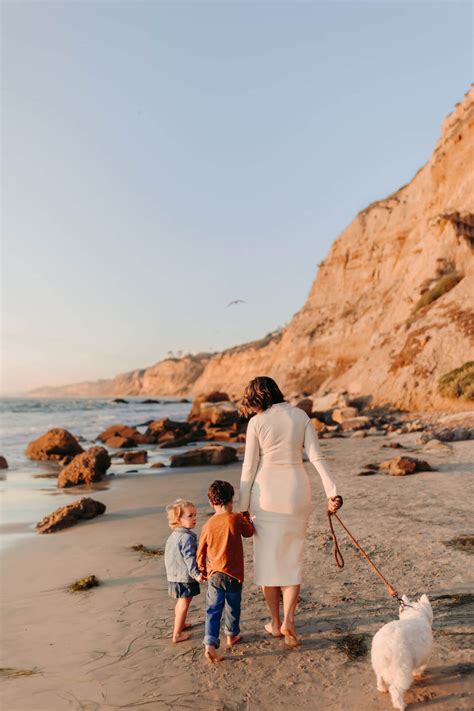 Can Pet Ashes Be Scattered Into the Ocean in San Diego? | Paws Into Grace