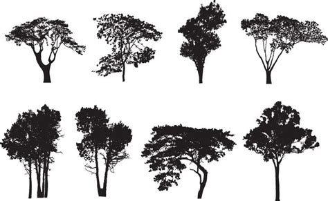 Free Vector A Variety Of Trees Silhouette Vector Tree Silhouette