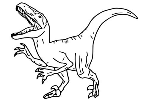 Disegno Di Il Velociraptor Da Colorare Disegni Da Colorare E Stampare