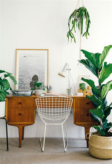 Serene Green Interiors House Of Plants Lobster And Swan