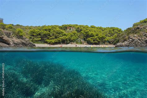 Mediterranean Sea Peaceful Cove With Seagrass Underwater Split View Above And Below Water