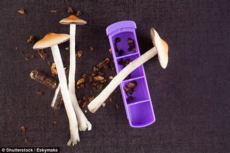 Fda Approves First Trial On Magic Mushrooms As Depression Treatment