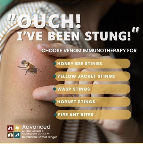 Bee And Wasp Sting Allergy Treatment Venom Immunotherapy