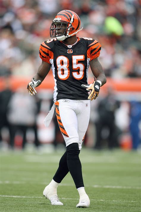 Chad Ochocinco And 10 Other Athletes That Couldve Made A Living In