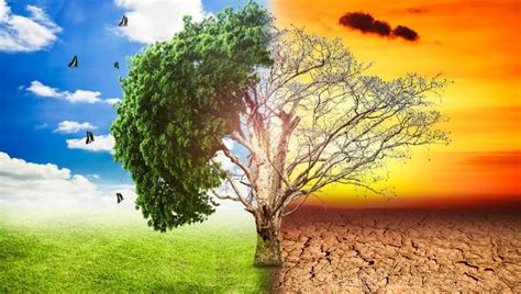Global Warming Causes And Climate Change Effects Upsc Ias