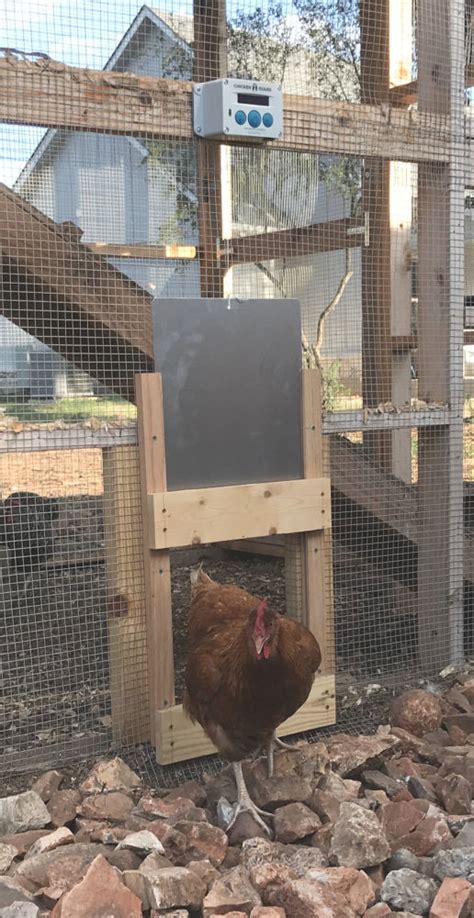 Check spelling or type a new query. Automatic Chicken Coop Door Opener • THE BLUEBONNET HOMESTEAD