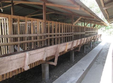 14 Gambar Desain Kandang Kambing Bambu Panggung Madani Farm Jogja