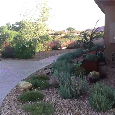 San Diego Xeriscaping Drought Tolerant And Water Saving Landscapes