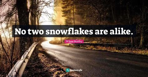 No Two Snowflakes Are Alike Quote By Wilson Bentley Quoteslyfe
