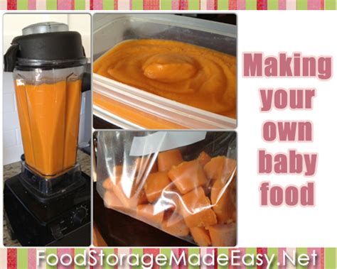 Saving Money How To Make Your Own Baby Food