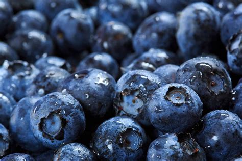 Blueberries Fruit Quality Agri Technovation