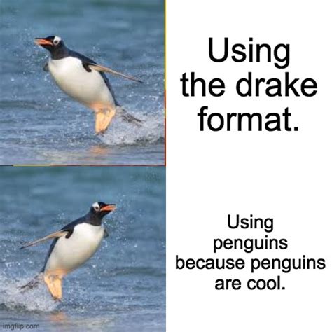 Penguins Imgflip