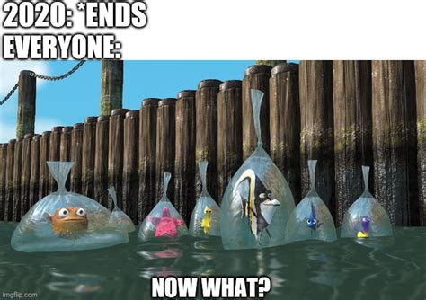 Finding Nemo Fish In Bags Memes Imgflip