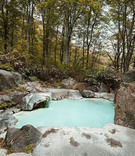 Visit Japan A Natural Steaming Hot Spring In The Middle Of A Forest
