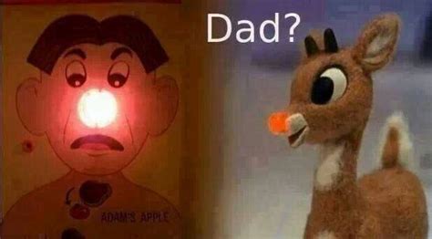 Rudolf The Red Nose Operation Christmas Humor Funny Pictures With