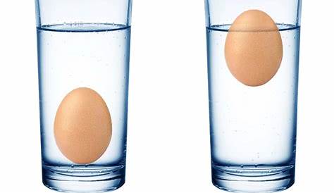 Floating Eggs in Salt Water: (Fun Experiment) - Science4Fun