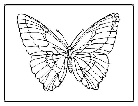 The high frequency section of the butterfly system is equipped with a 3 (1.41 throat) compression driver coupled with a d.p.r.w.g. Cute Butterfly Coloring Pages - GetColoringPages.com