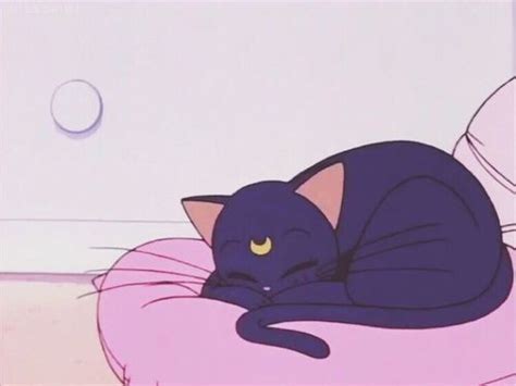 Sailor Moon Is One Of My Fav Anime And First One Too Anime Sailor Moon Sailor Moon Cat