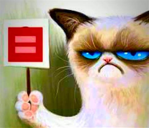 Pin By Bridgette Kearns On Angry Cat Grumpy Cat Grumpy Cat Meme Grumpy Cat Humor