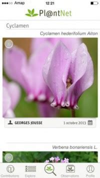 What does app identify plants? Best Plant Identification Apps