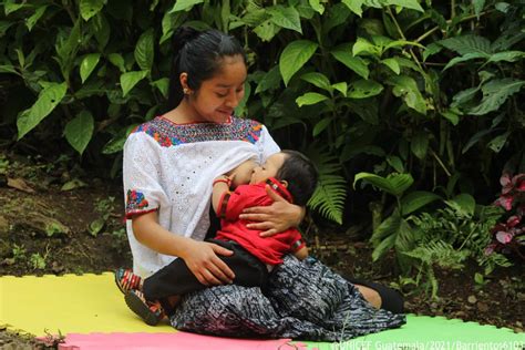 Cuidado De Los Senos Durante La Lactancia Materna Chapin TV