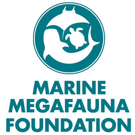 Marine Megafauna Foundation Donate To Our Organisation