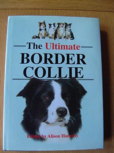 The Ultimate Border Collie By Hornsby Allison Good 1998 1st Edition