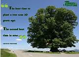 Photos of Save Trees Quotes