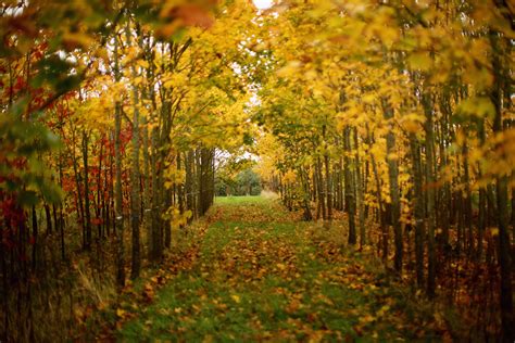 Top 5 Places to See Fall Foliage - Cincinnati Magazine
